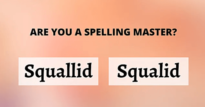 Only A True Spelling Master Can Spell These SAT Words.