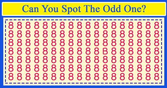 can-you-find-the-odd-one-out-quiz